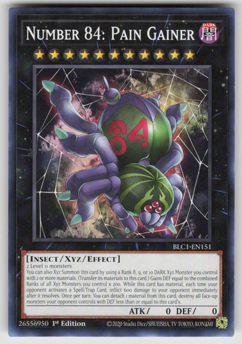 Numero pain gainer - 84:,