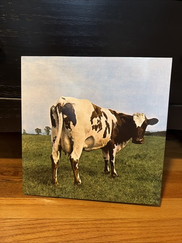 Pink floyd atom - floyd, heart