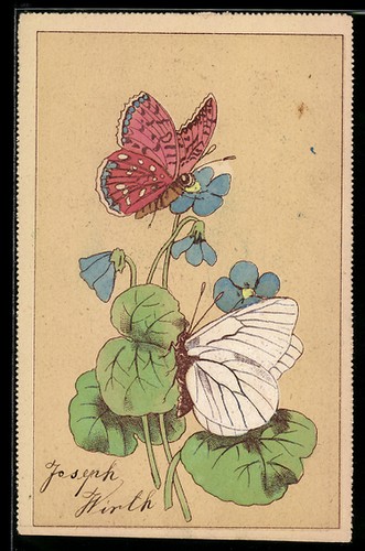 Cartolina due farfalle - su, un
