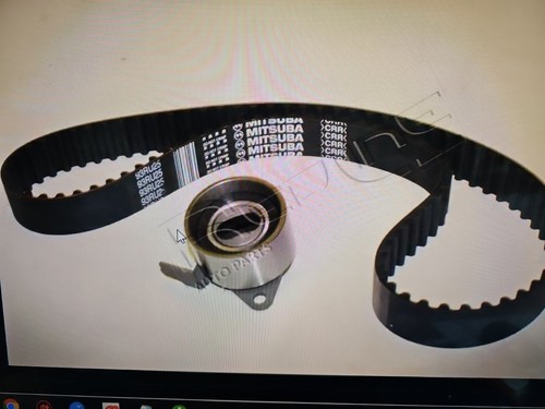 Kit cinghia distribuzione - cinghia,