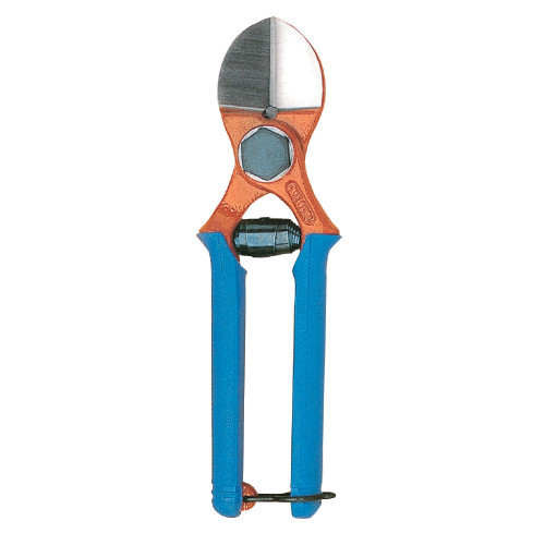 Forbici frutteto due - frutteto, buoi