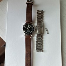 OMEGA Seamaster Professional