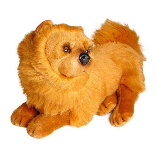 Chow piutre fatto - chow, piutre,