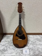 Suzuki Mandolin M-215 custodia
