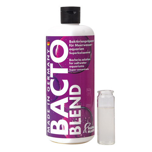 Fauna marin bacto - fauna,