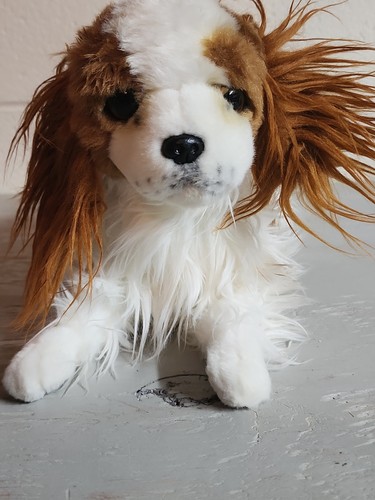 Peluche dog cocker spaniel - my,