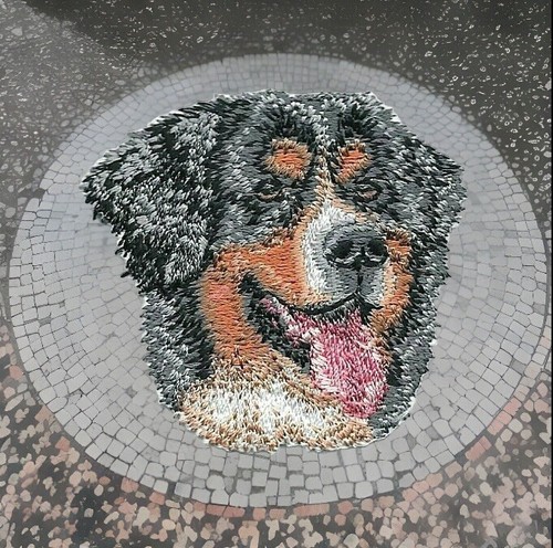 Toppa cane bernese ricamata
