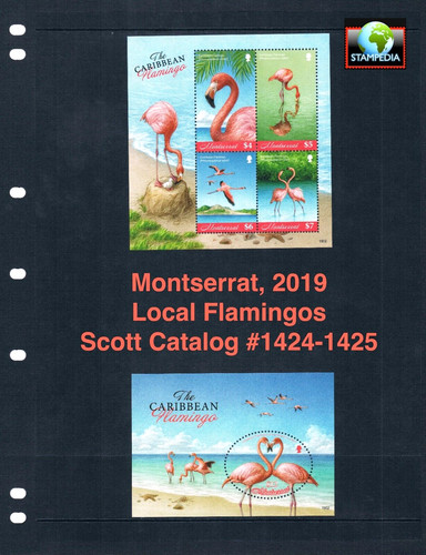 Scott value 2019 - scott,