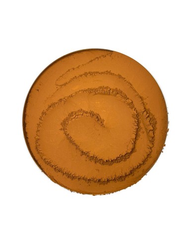 Fungo chaga 2025 raccolta - 2025, (raccolta