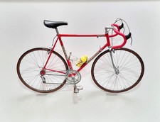 Gruppo Campagnolo Vernice