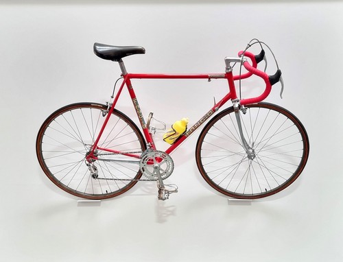 Gruppo campagnolo vernice - campagnolo,