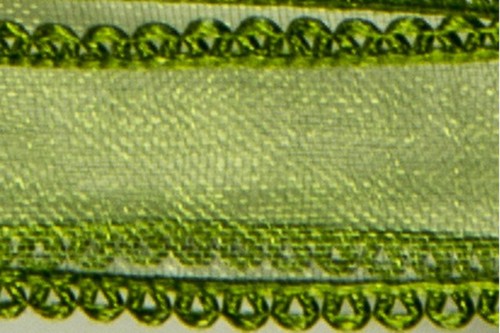 Nastro organza termo bordata