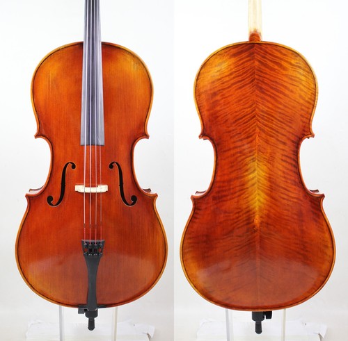 Miglior modello violoncello - miglior, modello!