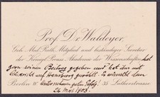 Wilhelm waldeyer hartz - wilhelm, waldeyer-hartz