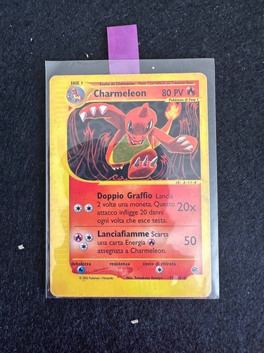 Charmeleon 165 expedition - charmeleon, 73/165