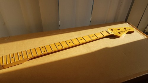 1979 music man - music, basso