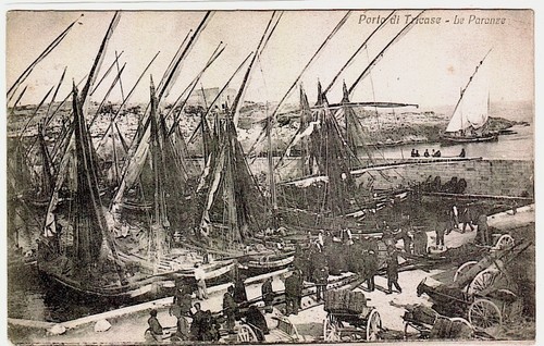 Tricase lecce porto e - -,
