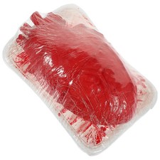 Organo portatile Organo