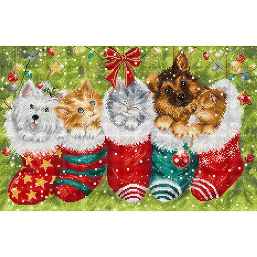Kit letistitch per - kit, punto