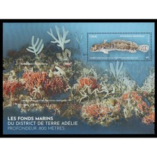 FR7633 - 2025 TAAF - Fondali