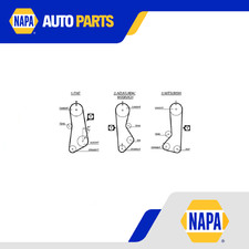 Cinghia distribuzione adatta