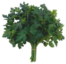 PREZZEMOLO GIGANTE D'ITALIA