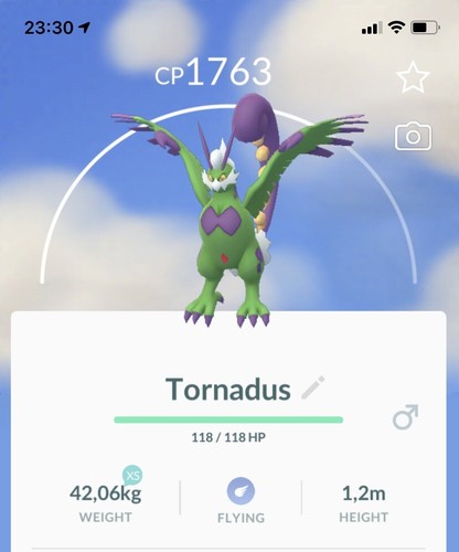 Tornadus therian pokemon gen5 - tornadus,