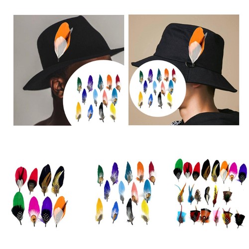 Piume per cappelli - ,