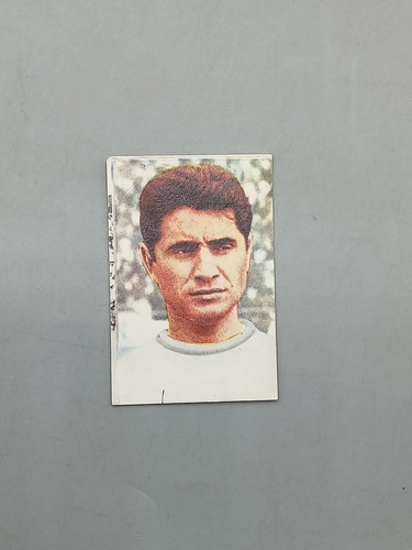Figurina coppa rimet 1966 - coppa,