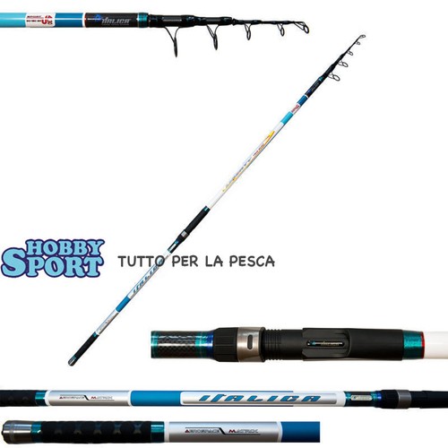 Canna italica liberty - canna,