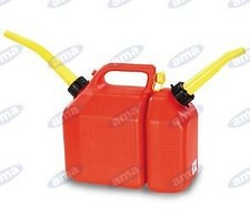 Canestro professionale