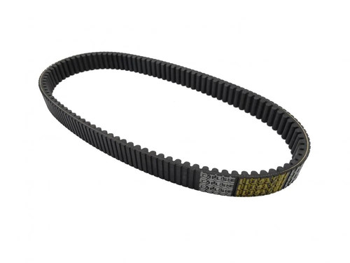 Cinghia trasmissione timken - cinghia,