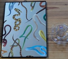 Seletti x Carta Igienica