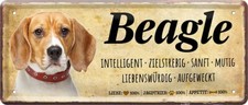  Targa in latta ''Beagle''