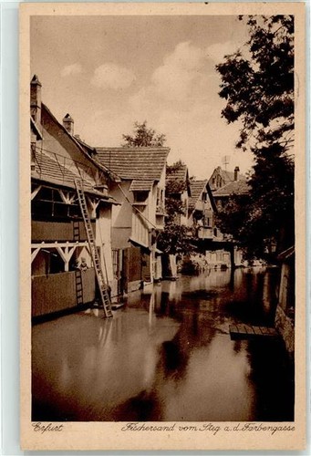 51761305 5000 erfurt - 51761305,