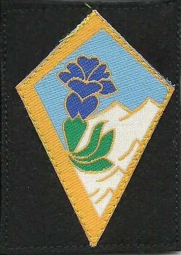 Insigne tissu patch militaire - tissu,,