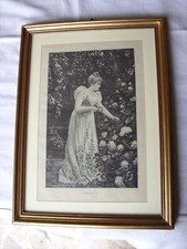 Antica illustrazione originale