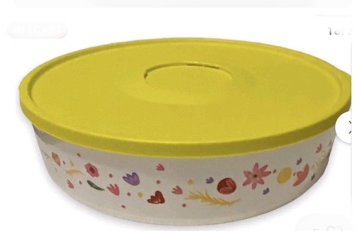 Tupperware food storage - food,