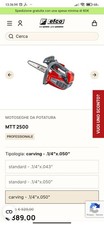 Efco MTT 2500 Barra Carving