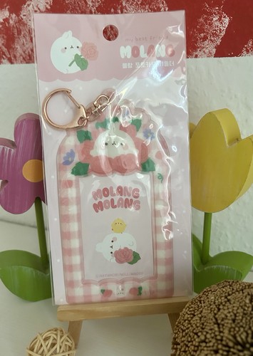 Photocard key holder molang - holder,