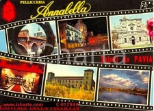 1975 pavia pellicceria - pavia,