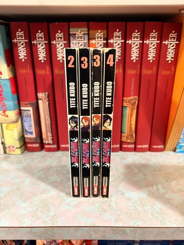 Bleach numeri sfusi - -, tite