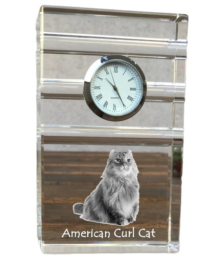 Gatto riccio americano
