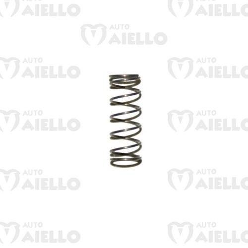 Molla massa variatore motore