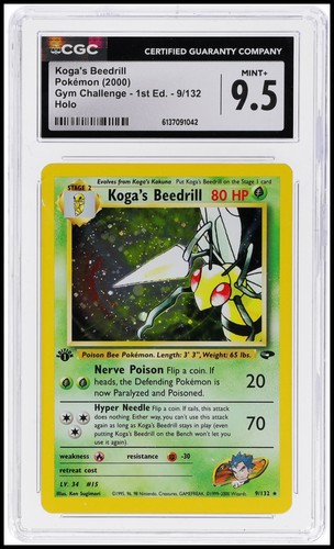 Pokemon 2000 sfida palestra - sfida,