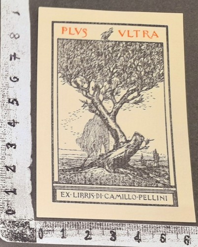 Wunderkammer exlibris 549 - wunderkammer,