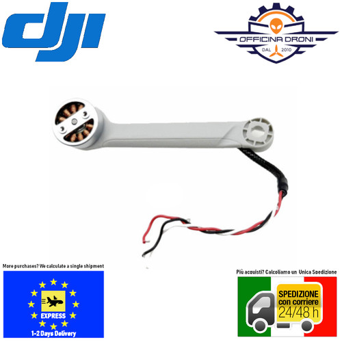 Dji mini braccio - (non, pro)