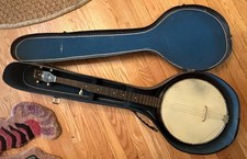 Custodia truciolare banjo