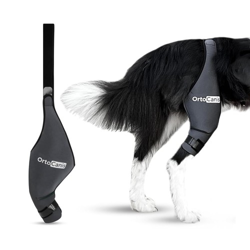 Ortocanis ginocchiera per cane - ortocanis,