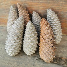 PIGNE GRANDI LUNGHE NATURALI CHIUSE 1 KG - NATALE ADDOBBI DECORATIVE - PINE CONE